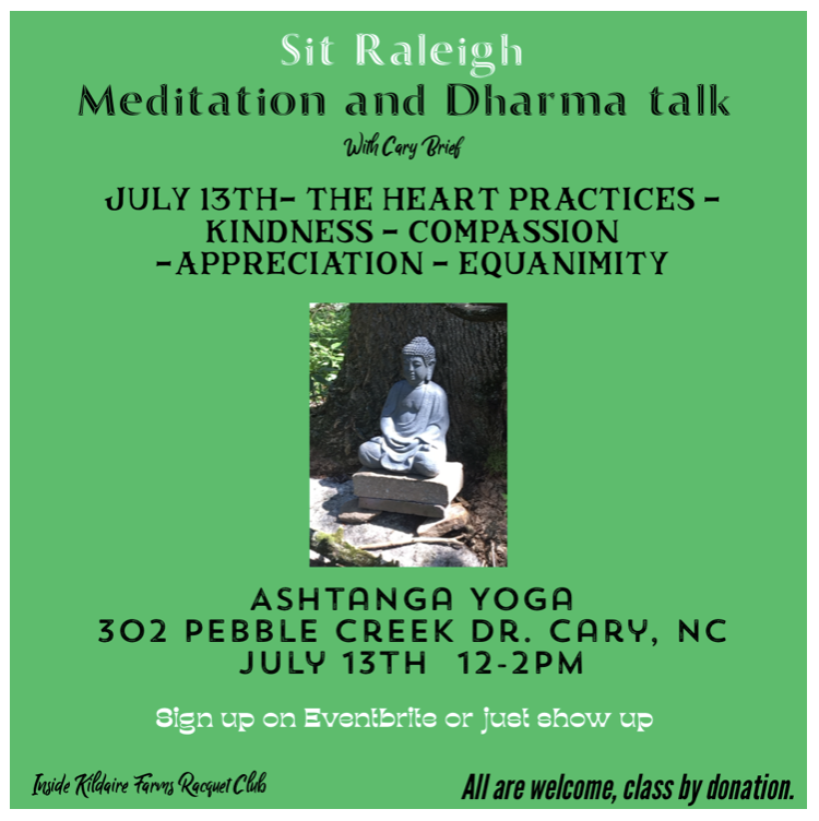 JULY 13TH- THE HEART PRACTICES - KINDNESS - COMPASSION -APPRECIATION - EQUANIMITY